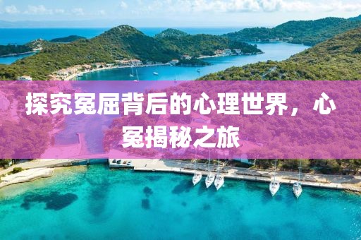 探究冤屈背后的心理世界，心冤揭秘之旅