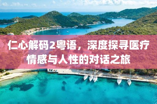 仁心解码2粤语，深度探寻医疗情感与人性的对话之旅