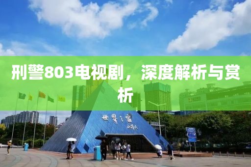 刑警803电视剧，深度解析与赏析