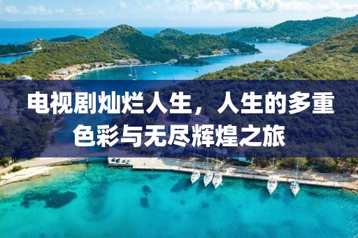 电视剧灿烂人生，人生的多重色彩与无尽辉煌之旅