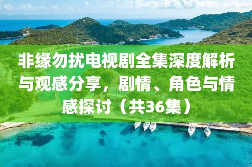 非缘勿扰电视剧全集深度解析与观感分享，剧情、角色与情感探讨（共36集）