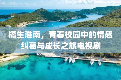 橘生淮南，青春校园中的情感纠葛与成长之旅电视剧