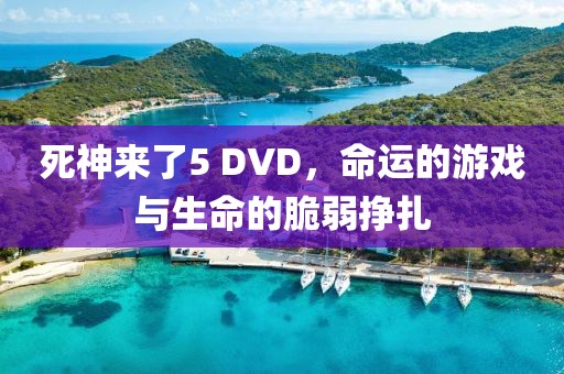 死神来了5 DVD，命运的游戏与生命的脆弱挣扎