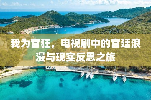 我为宫狂，电视剧中的宫廷浪漫与现实反思之旅