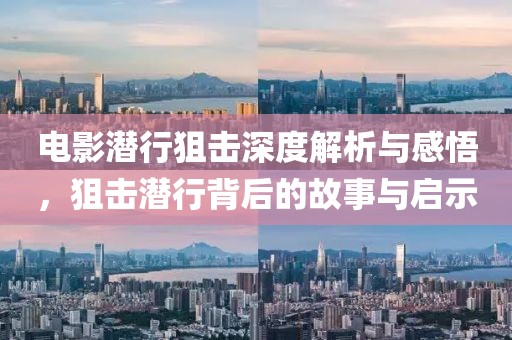 电影潜行狙击深度解析与感悟，狙击潜行背后的故事与启示