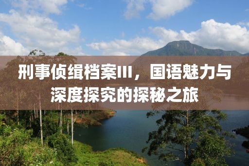 刑事侦缉档案III，国语魅力与深度探究的探秘之旅