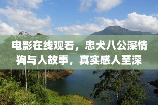 电影在线观看，忠犬八公深情狗与人故事，真实感人至深