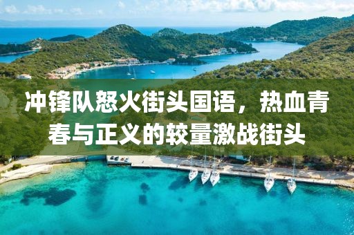 冲锋队怒火街头国语，热血青春与正义的较量激战街头