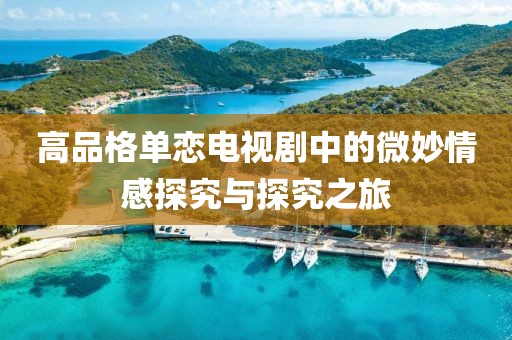 高品格单恋电视剧中的微妙情感探究与探究之旅