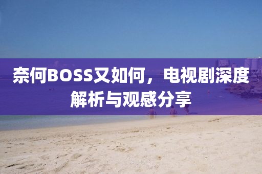 奈何BOSS又如何，电视剧深度解析与观感分享