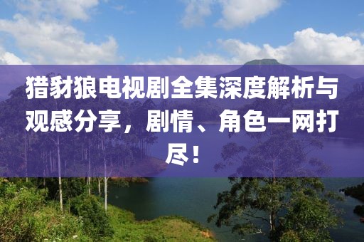 猎豺狼电视剧全集深度解析与观感分享，剧情、角色一网打尽！