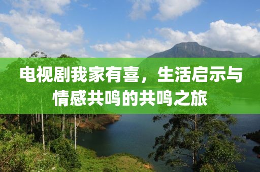 电视剧我家有喜，生活启示与情感共鸣的共鸣之旅