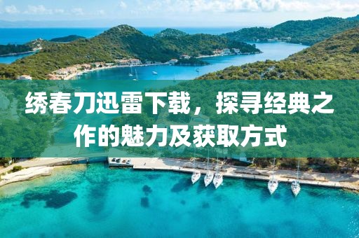 绣春刀迅雷下载，探寻经典之作的魅力及获取方式