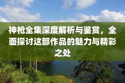 神枪全集深度解析与鉴赏，全面探讨这部作品的魅力与精彩之处