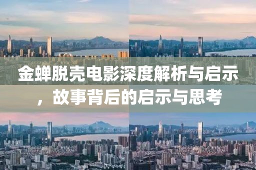 金蝉脱壳电影深度解析与启示，故事背后的启示与思考