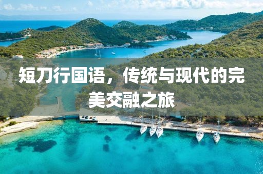 短刀行国语，传统与现代的完美交融之旅