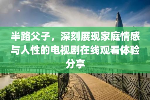 半路父子，深刻展现家庭情感与人性的电视剧在线观看体验分享