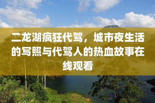 二龙湖疯狂代驾，城市夜生活的写照与代驾人的热血故事在线观看