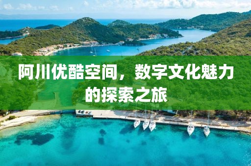 阿川优酷空间，数字文化魅力的探索之旅