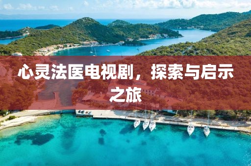 心灵法医电视剧，探索与启示之旅