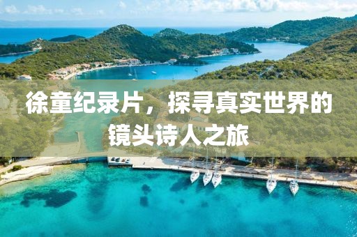 徐童纪录片，探寻真实世界的镜头诗人之旅