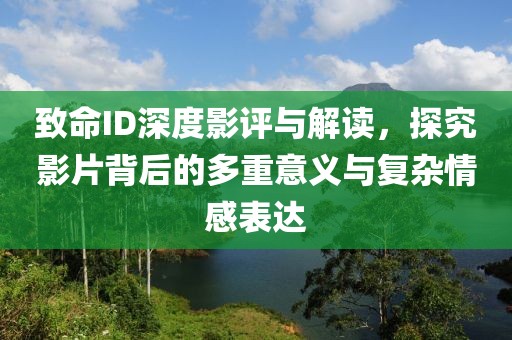 致命ID深度影评与解读，探究影片背后的多重意义与复杂情感表达