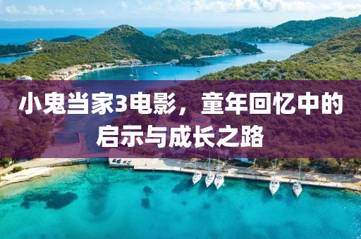 小鬼当家3电影，童年回忆中的启示与成长之路