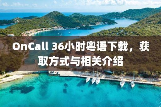 OnCall 36小时粤语下载，获取方式与相关介绍