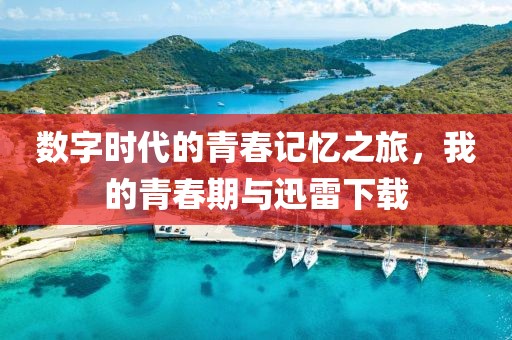 数字时代的青春记忆之旅，我的青春期与迅雷下载