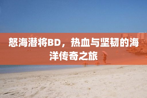 怒海潜将BD，热血与坚韧的海洋传奇之旅