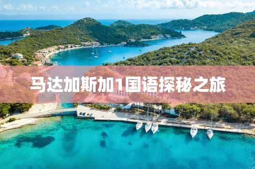 马达加斯加1国语探秘之旅