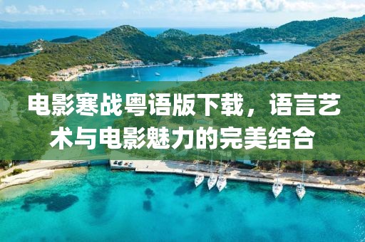 电影寒战粤语版下载，语言艺术与电影魅力的完美结合