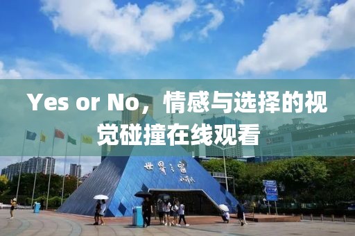 Yes or No，情感与选择的视觉碰撞在线观看