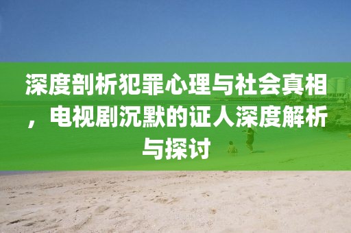 深度剖析犯罪心理与社会真相，电视剧沉默的证人深度解析与探讨