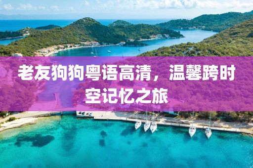 老友狗狗粤语高清，温馨跨时空记忆之旅