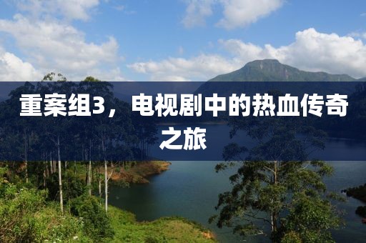 重案组3，电视剧中的热血传奇之旅