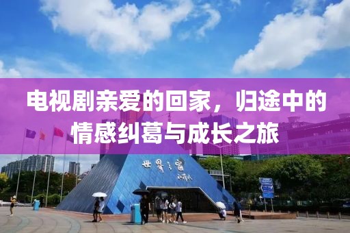 电视剧亲爱的回家，归途中的情感纠葛与成长之旅