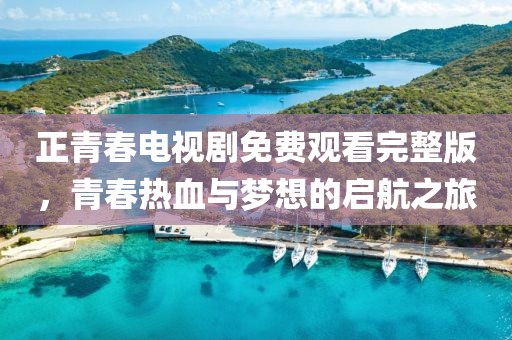 正青春电视剧免费观看完整版，青春热血与梦想的启航之旅