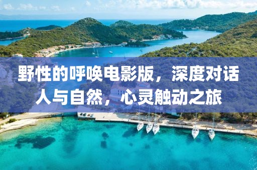 野性的呼唤电影版，深度对话人与自然，心灵触动之旅