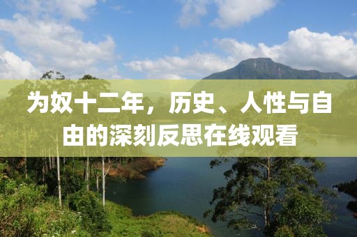 为奴十二年，历史、人性与自由的深刻反思在线观看