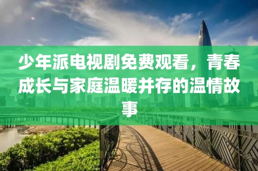 少年派电视剧免费观看，青春成长与家庭温暖并存的温情故事