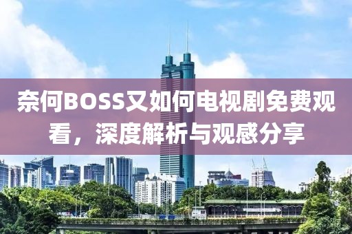 奈何BOSS又如何电视剧免费观看，深度解析与观感分享