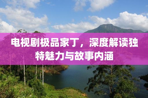 电视剧极品家丁，深度解读独特魅力与故事内涵