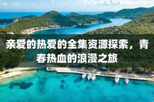 亲爱的热爱的全集资源探索，青春热血的浪漫之旅