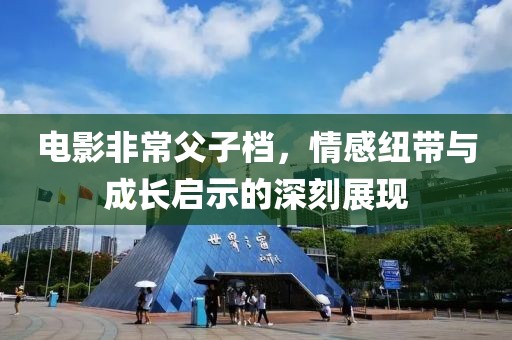 电影非常父子档，情感纽带与成长启示的深刻展现