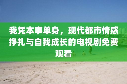 我凭本事单身，现代都市情感挣扎与自我成长的电视剧免费观看