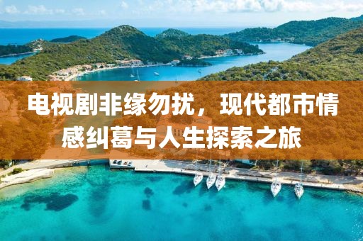 电视剧非缘勿扰，现代都市情感纠葛与人生探索之旅