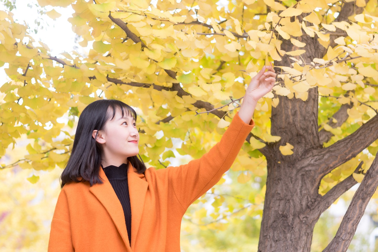 银幕与生活的情感之旅，电影我们俩的旅程