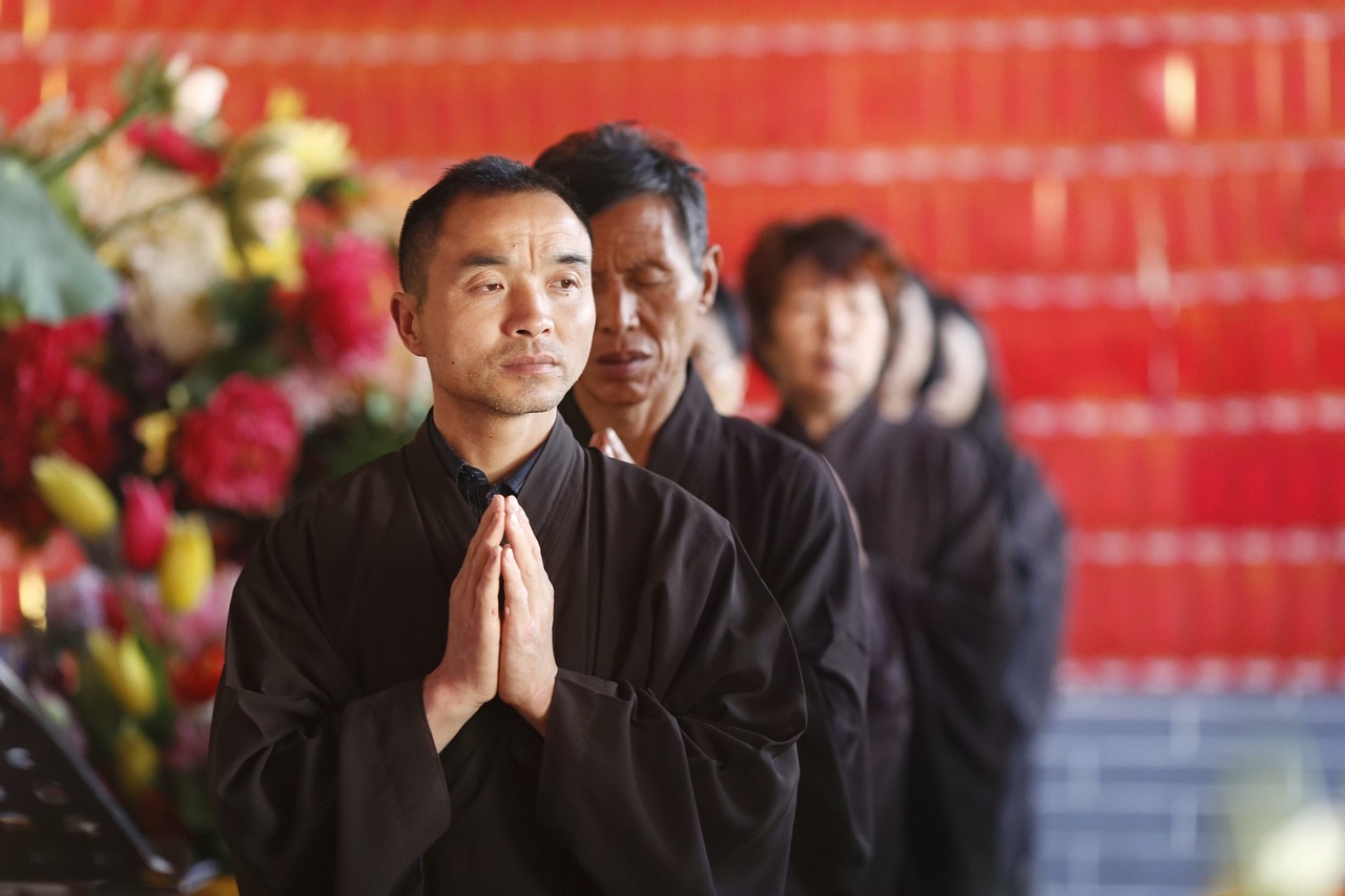 电视剧我是真的，揭示真实背后的深度与力量之旅