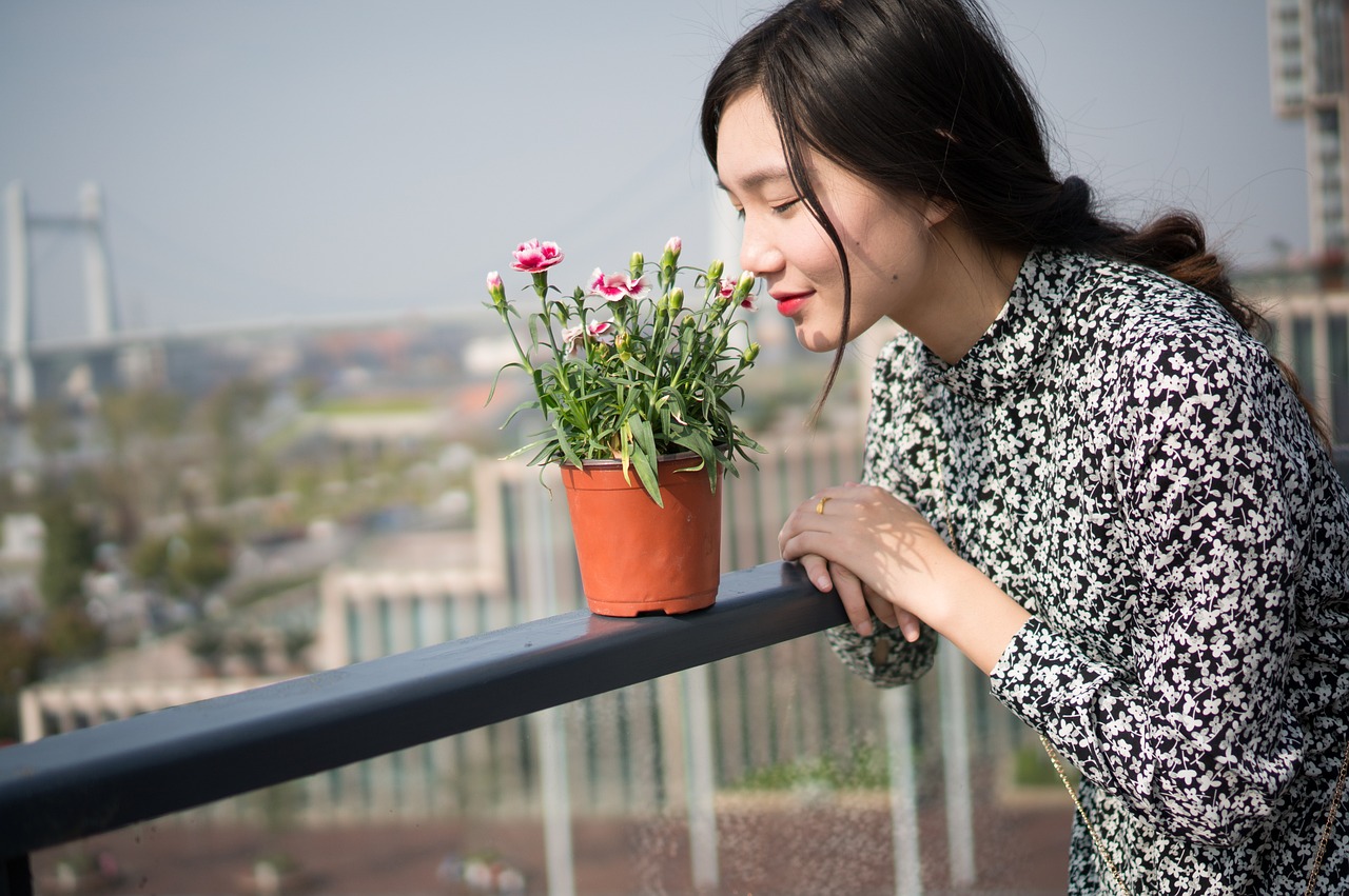 女人天下电视剧，展现女性力量的崛起与辉煌